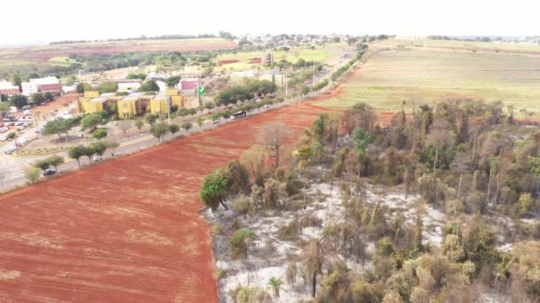 Stadt Und Verbrannte Vegetation Campinas Sao Paulo Drohnenschuss — Stockvideo