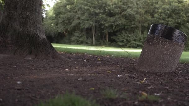 Wonky Rubbish Bin Park Next Tree Medium Panning Shot — Stockvideo