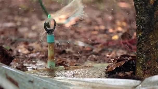 Close Footage Water Sprinkler Splash Water Field — Video Stock