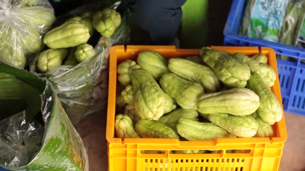 Farmer Cleaning Packing Bitter Gourd Crops Ready Selling — Stockvideo