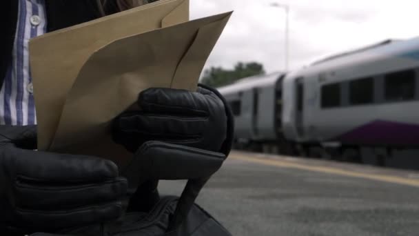 Business Woman Looking Documents While Train Passes — Video Stock