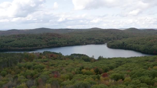 Pull Back Aerial View Calm Lake Dense Forest Autumn — стоковое видео