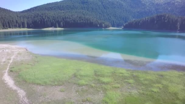 Clean Green Lake Water Mountain Tops Forest All Sunny Bright — Stockvideo