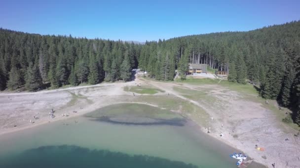 Drone Footage Forest Lake Green Clean Water Sunny Bright Day — Video