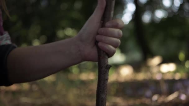 Hand Holding Wooden Stick Medium Shot — Stockvideo