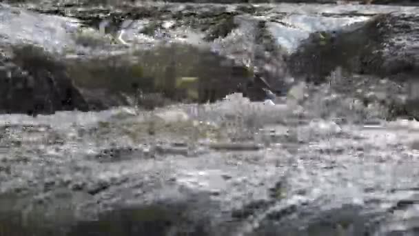 Rapid River Stream Waterfall River Side Stones — Stock Video