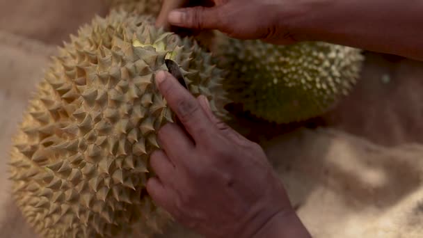 Close Footage Man Cutting Peeling Durian Hands — Stock video