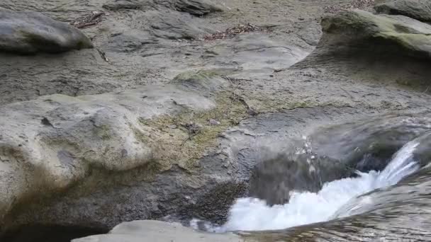 Rapid River Stream Waterfall River Side Stones — Stock video