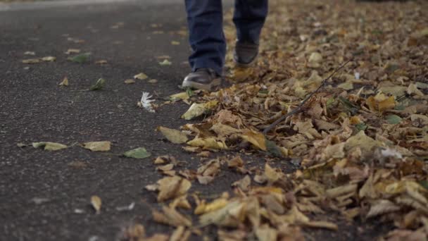 Legs Kicking Autumn Leaves Lane Wide Shot — Vídeo de stock