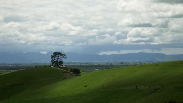 Clouds Green Landscape South Waikato New Zealand Time Lapse — Stok video