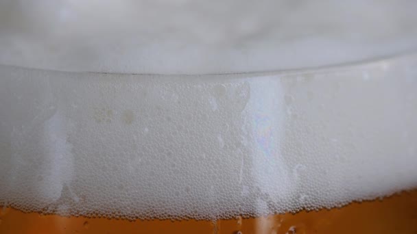 Top Beer Glass Closeup Displaying All Tiny Bubbles Bright White — 비디오