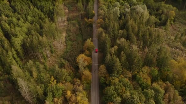 Aerial Look Shot Road Autumn Colored Forest Horizon Alp Mountains — Αρχείο Βίντεο