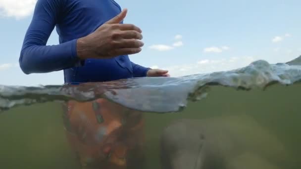 Ποταμός Δελφίνια Γύρω Από Ένα Νεαρό Άνδρα Ένα Μοσχάρι Δαγκώνει — Αρχείο Βίντεο