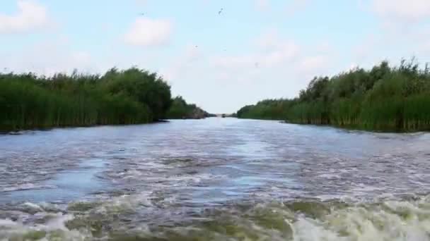 Traveling Boat Waters Danube Delta Wide – stockvideo