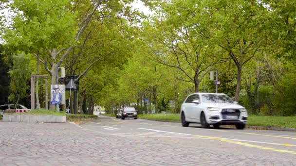 Autumn Street Avenue Multiple Modern Cars Passing Cold Windy Day — Vídeo de Stock