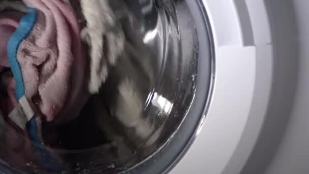 Lavandaria Torno Uma Máquina Lavar Tiro Médio — Vídeo de Stock