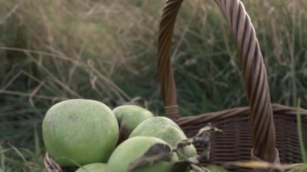 Košík Zralých Zelených Jablek Louce Zblízka Naklápěcí Výstřel — Stock video