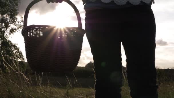 Woman Holding Basket Sunset Background Medium Shot — Vídeos de Stock