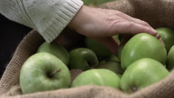 Hands Putting Ripe Green Apples Sack Close Shot — Stock videók