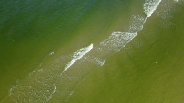 Podívejte Dolů Prázdnou Pláž Osetniku Polsko Začátku Podzimu 2020 Dron — Stock video