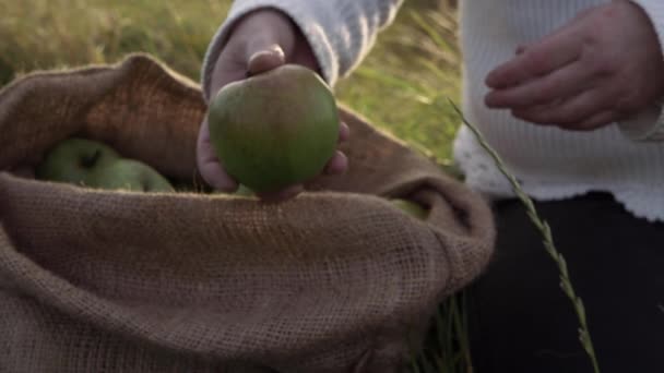 Woman Offering Ripe Green Apple Sack Medium Shot — Stok Video