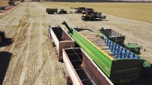 Corn Combine Unloading Freshly Harvested Corn Tractor Trailers Aerial View — Stockvideo