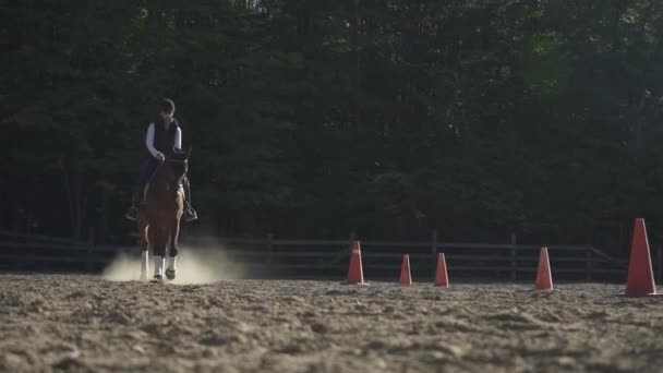 Horse Female Rider Trot Camera Sandy Arena Pylons — ストック動画