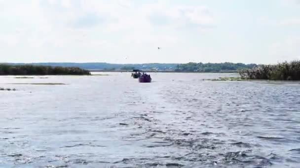 Traveling Boat Murky Waters Danube Delta Wide — Stockvideo