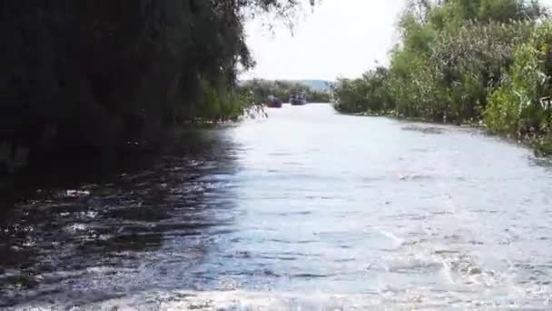 Traveling Boat Muddy Waters Danube Delta Wide — стоковое видео