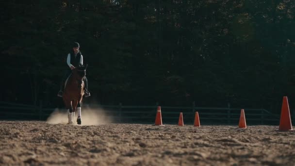 Horse Female Rider Trot Slow Motion Sand Arena Pylons — Vídeo de Stock