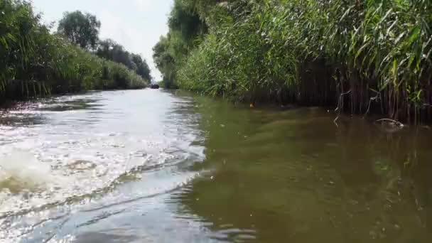Traveling Muddy Waters Danube Delta Close — стоковое видео