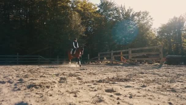 Cheval Cavalier Marchent Ralenti Dans Une Arène Sable Coucher Soleil — Video