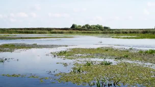 Traveling Danube Delta Wide — Video