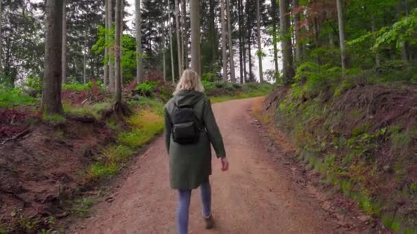 Vandring Flicka Stig Vacker Skog Med Sin Regnrock Och Ryggsäck — Stockvideo