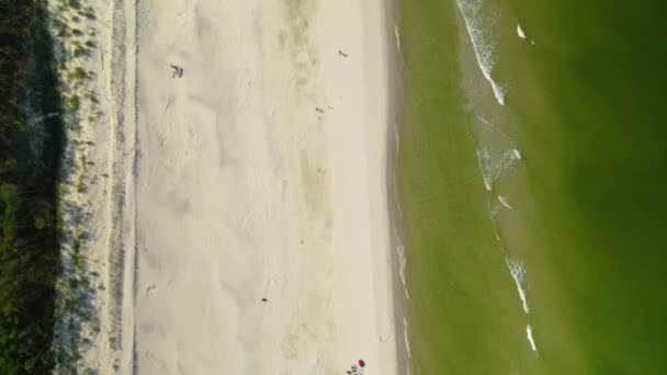 Aerial Empty White Sand Beach Osetnik Poland Covid Pandemic Early — Stockvideo