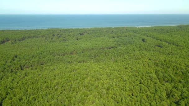 Drone Slide Motion Baltic Sea Coast Green Forest Stilo Lighthouse — Stock videók