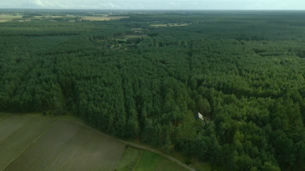 Dense Green Leafy Deciduous Forest Kowalskie Blota Village Birds Eye — Video