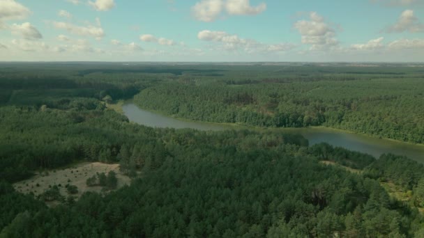 Slow Aerial Fly Dense Green Leafy Deciduous Forest Kowalskie Blota — Vídeo de stock