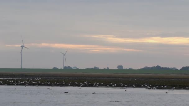 Saltmarsh Lagoon Wind Turbines Back Ground Dawn Wadden Sea National — Stockvideo
