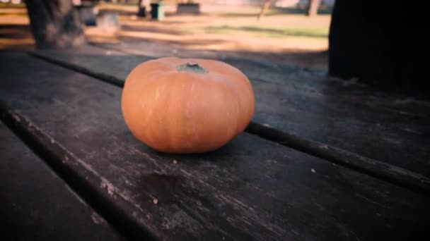 Hand Picking Pumpkin Wooden Table Halloween Aesthetic Freddy Krueger Sweater — Stok video