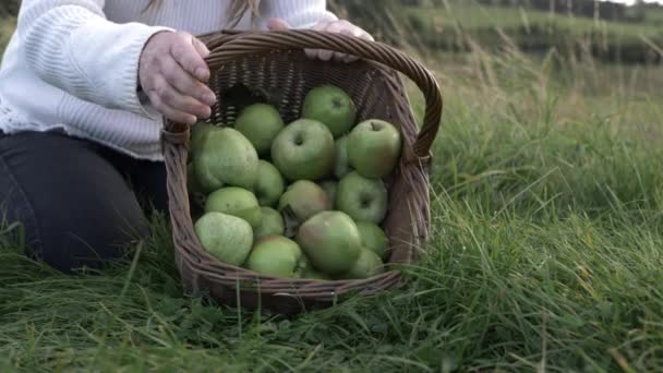 Woman Emptying Basket Apples Ground Countryside Medium Shot — Stockvideo