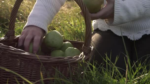 Woman Getting Apples Our Basket Medium Shot — Stockvideo