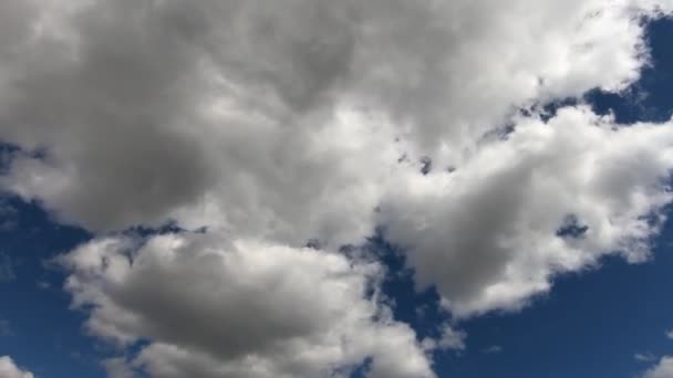 Time Lapse Cumulus Clouds Moving Sky Low Angle — Stock video
