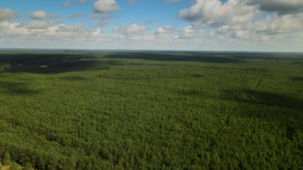 Aerial Flying Endless Dense Green Forest Cloudy Day Kowalskie Blota — Αρχείο Βίντεο