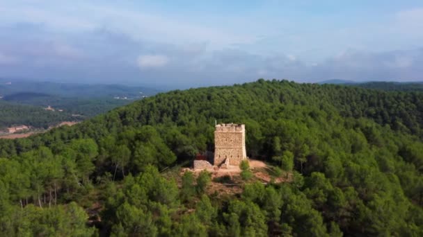 Aerial Drone Shot Soldiers Tower Aviny Dense Natural Green Forest — Vídeo de Stock