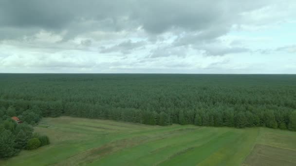 Bird Eye View Flying Endless Dense Green Forest Cloudy Day — Video Stock