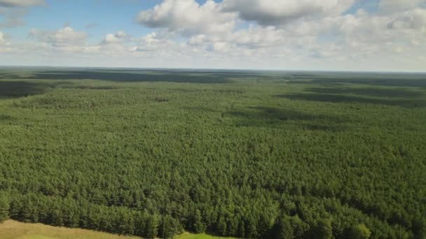 Cloudscape Dense Tree Forest Landscape Kowalskie Bota Village District Gmina — Stockvideo