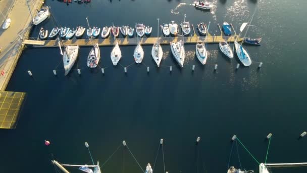Aerial Tilt Small Marina Boats Bright Shining Sunlight Water Reflection — Stockvideo