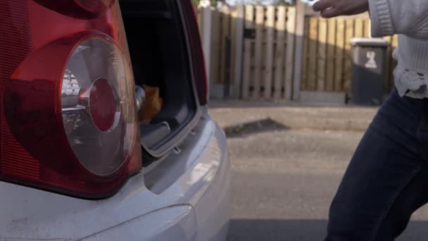 Woman Getting Pet Carrier Out Car Boot Medium Shot — Stock Video