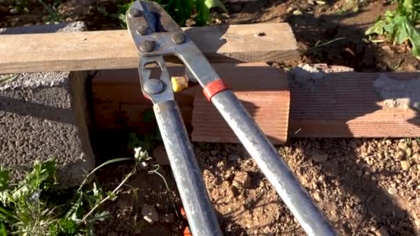 Working Tools Left Close Plant — стоковое видео